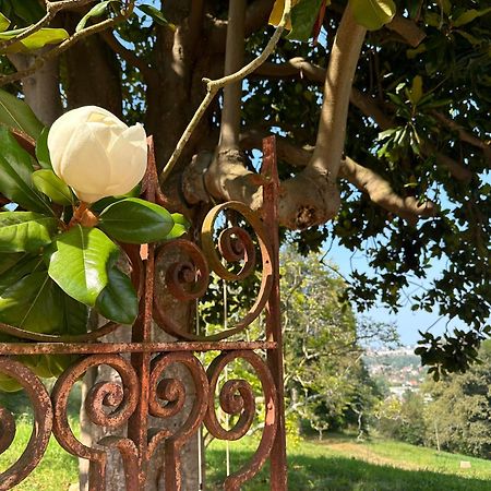 Domaine De La Tisnere Bed & Breakfast Gelos Екстериор снимка